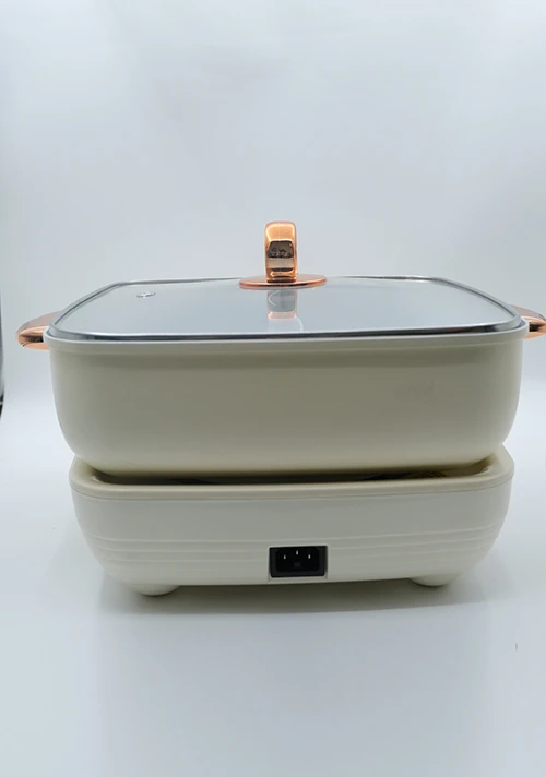 YODOIT cremefarbener, abnehmbarer elektrischer Hot Pot mit zwei Geschmacksrichtungen, 5 l (1600 W)