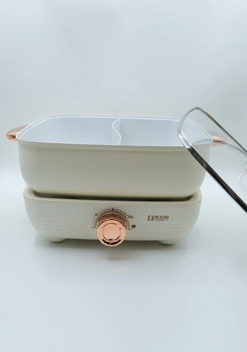YODOIT cremefarbener, abnehmbarer elektrischer Hot Pot mit zwei Geschmacksrichtungen, 5 l (1600 W)