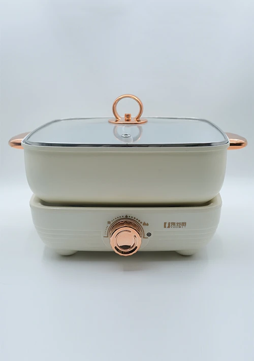 YODOIT cremefarbener, abnehmbarer elektrischer Hot Pot mit zwei Geschmacksrichtungen, 5 l (1600 W)